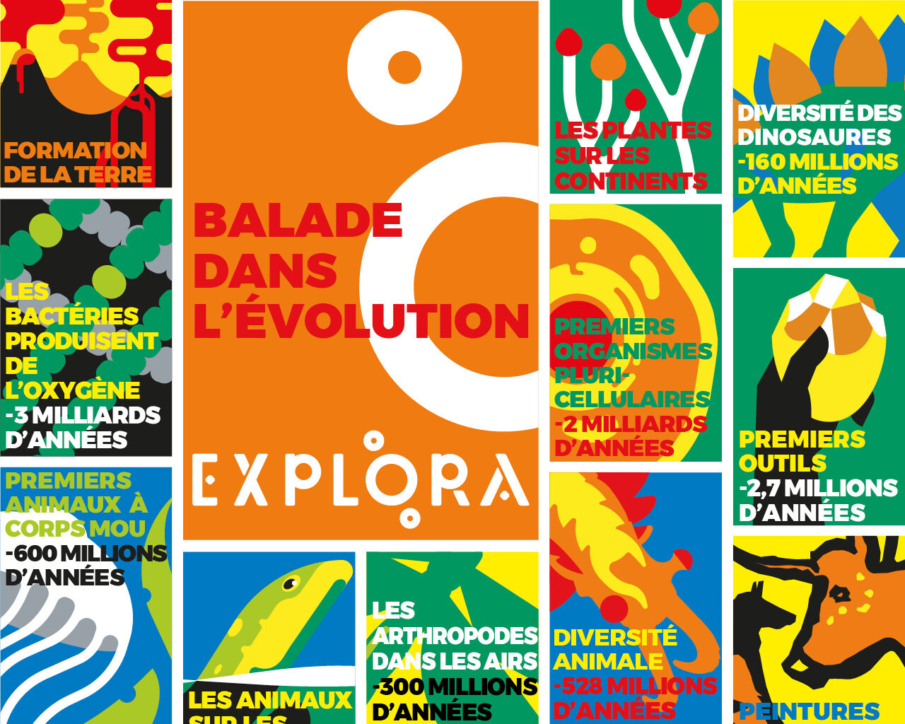 Balade dans l'Évolution - ExploraParc